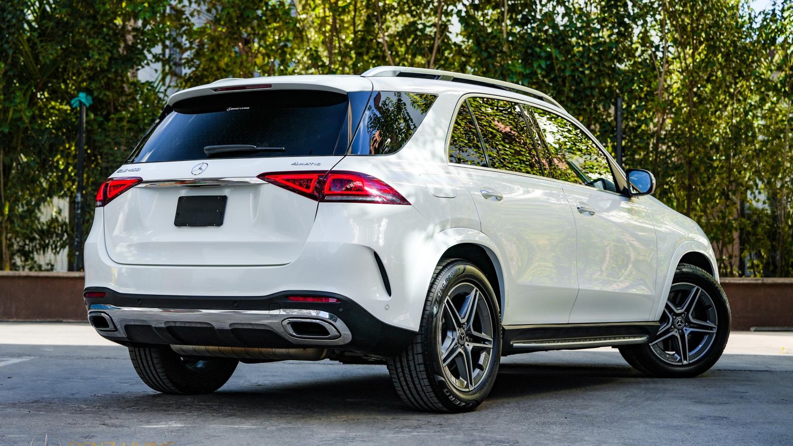 2020 GLE450 4MATIC (Diamond White Metallic)
