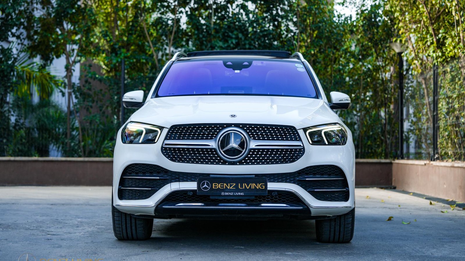 2020 GLE450 4MATIC (Diamond White Metallic)